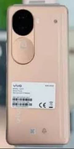 vivo v40e