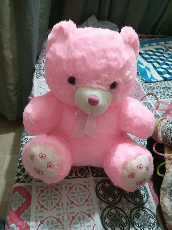 Teddy Bear For Sale New 2