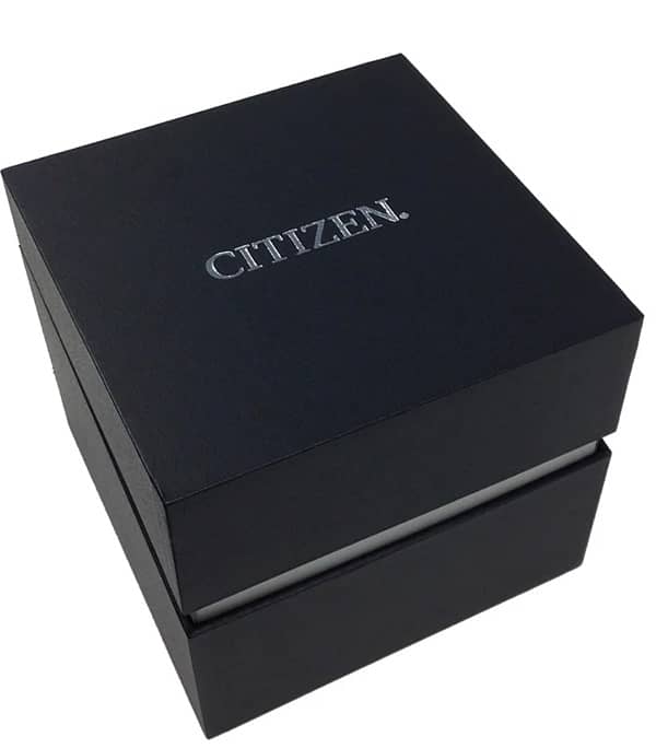 BRAND NEW QUARTZ CITIZEN STANDARD MEN WATCH – DZ0040-51L 1