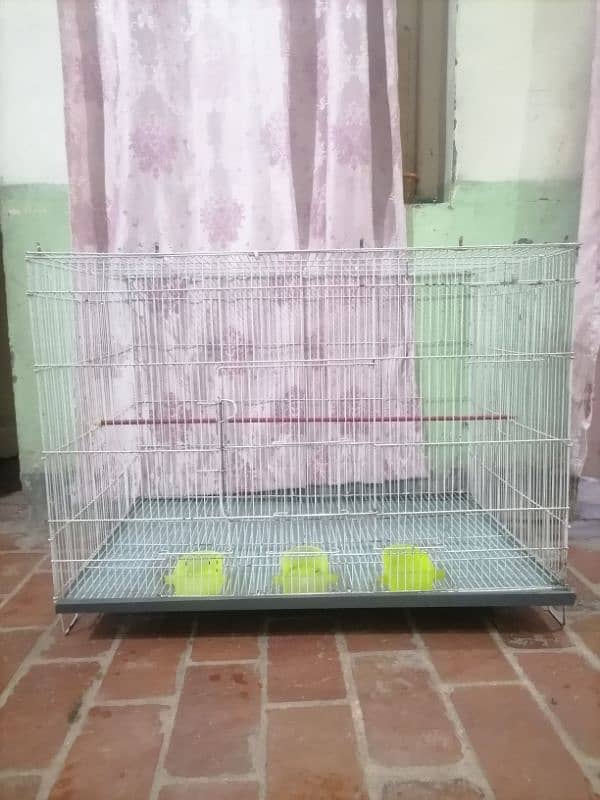 cage sale 0