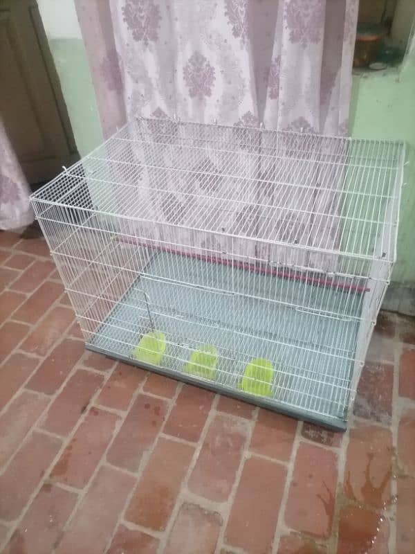 cage sale 3