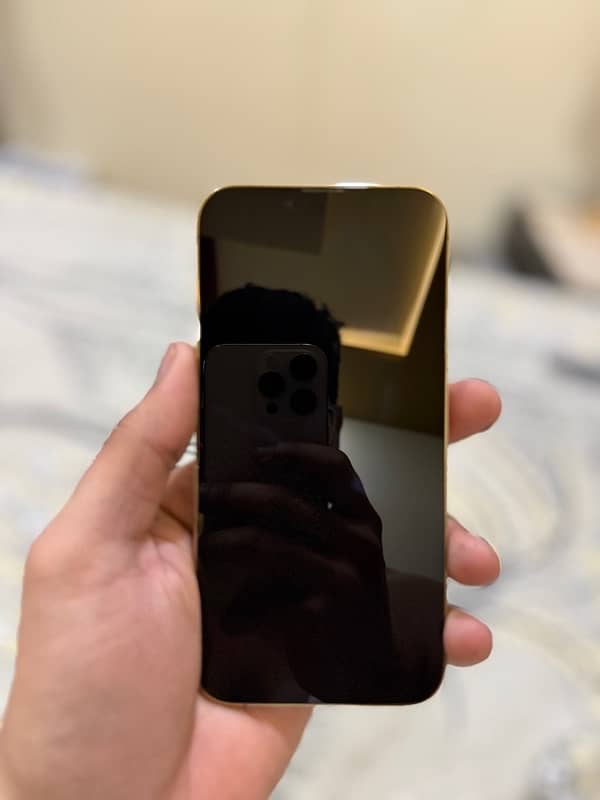 Iphone 13 Pro 128 gb Gold jv 4