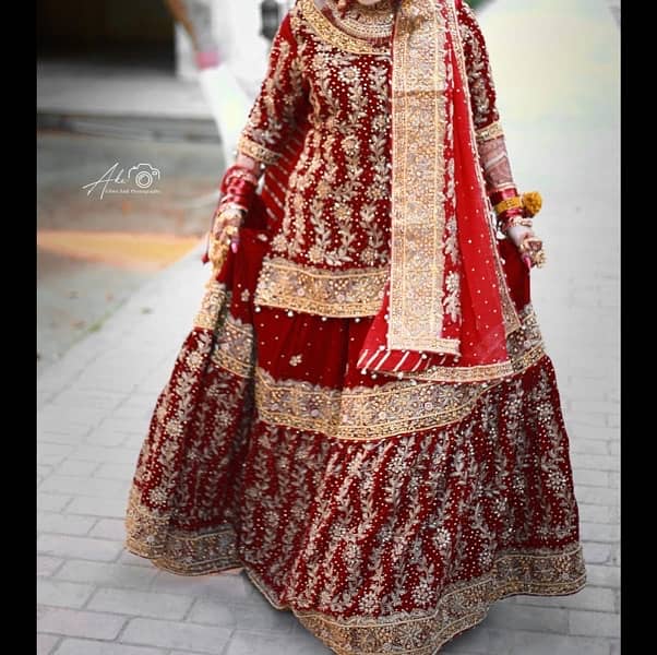 Bridal Velvet Red Dress 1