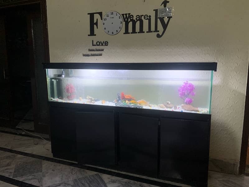 6Ft Fish Aquarium Setup Few Days Used 12