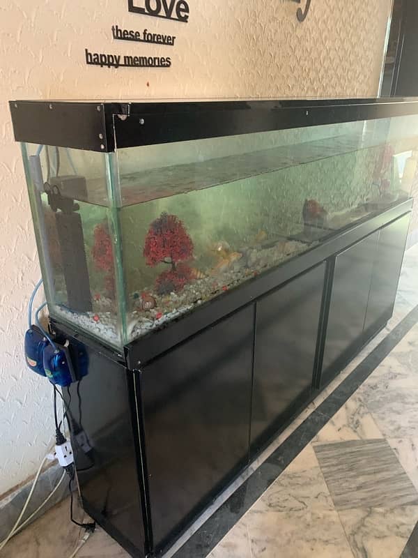 6Ft Fish Aquarium Setup Few Days Used 15