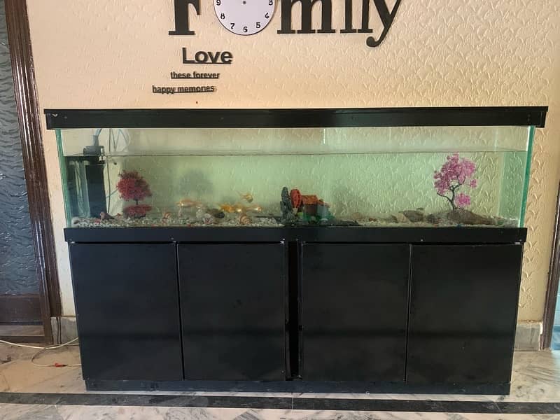 6Ft Fish Aquarium Setup Few Days Used 17