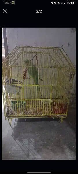 birds cage for sale 0