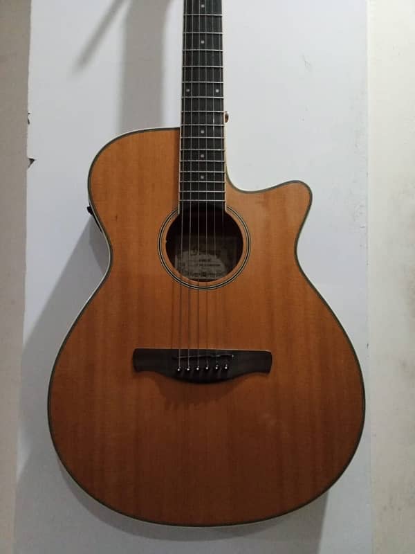 Guitar for sale 6