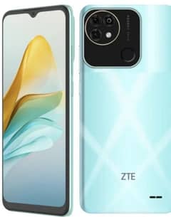 ZTE blade 1 year guarantee