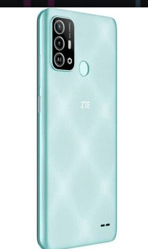 ZTE blade 1 year guarantee 2