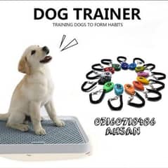 Dog Trainer Expert