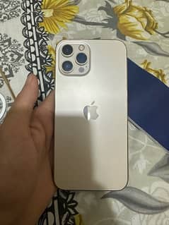 iphone 12 pro max 512 gb pta approved