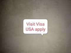 USA Visit visa apply