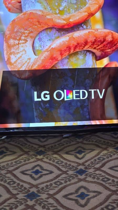 55 INCH LG OLED TV 4K SMART WIFI 2160 3840 18