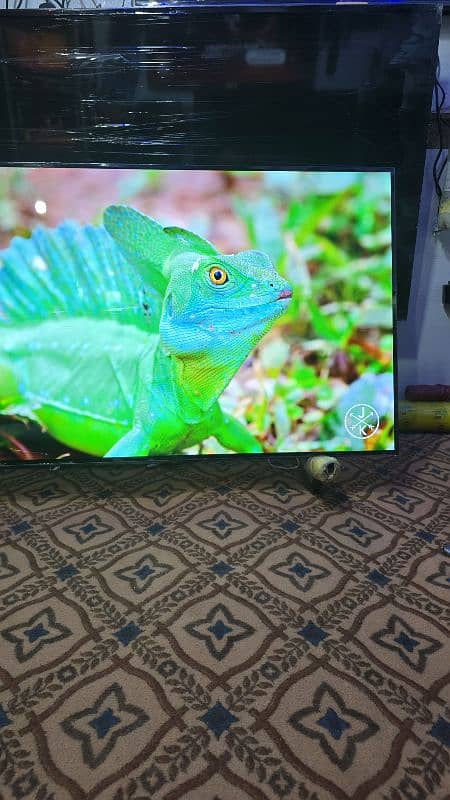 55 INCH LG OLED 4K TV SMART WIFI 2160 3840 15