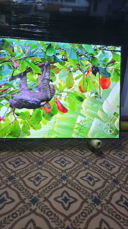 55 INCH LG OLED 4K TV SMART WIFI 2160 3840 16