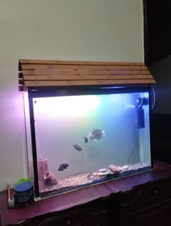 SLIM UNIQUE DESIGN AQUARIUM 0