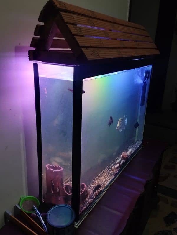 SLIM UNIQUE DESIGN AQUARIUM 1