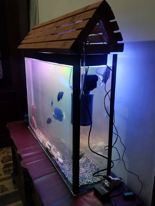 SLIM UNIQUE DESIGN AQUARIUM 2