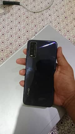 vivo