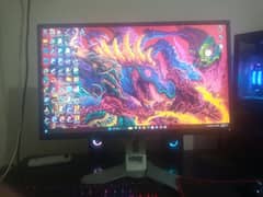 dell flat panel monitor P2417h  (2017) 24 inch monitor