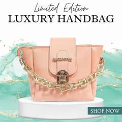 Luxury hand bag