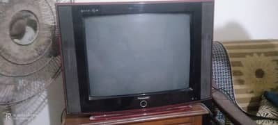 Panasonic T. v