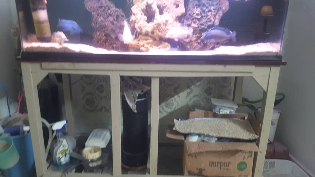 4 ft Professional level Aquarium 1