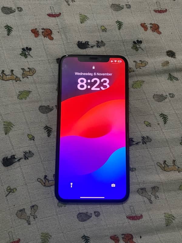 I phone 11 pro max 256gb non pta 10.10 2