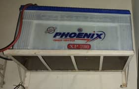 Phoenix 230