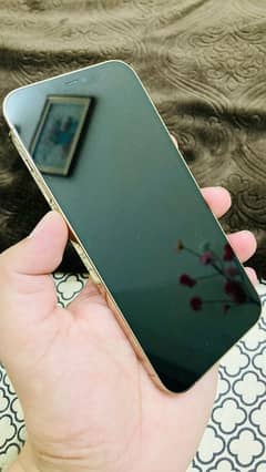 iPhone 12 pro max officially approved lush original condition