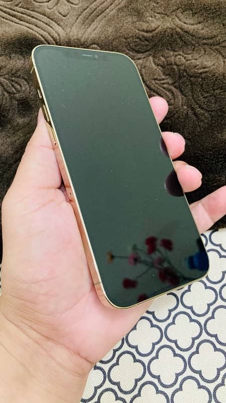 iPhone 12 pro max officially approved lush original condition 3