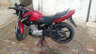 ybr 125 0