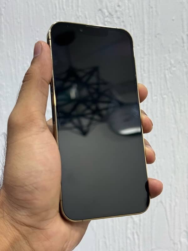 iphone 13 pro 256gb non pta jv water pack               11 12 14 15 16 5