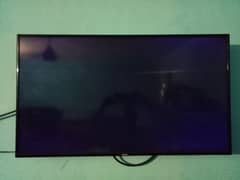 Haier LCD 43 inch