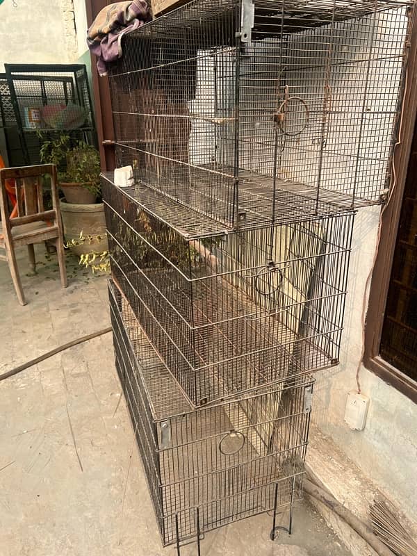 Iron cages for sale 4