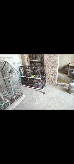 cage for sale 0