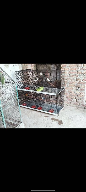 cage for sale 1