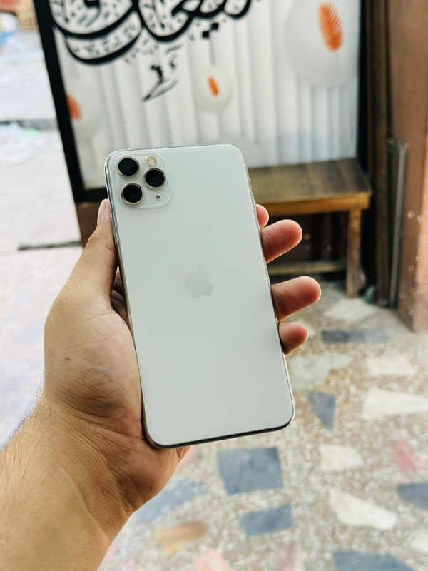 iphone 11 Pro Max Waterpack 0