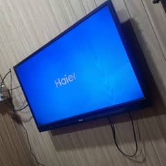 Haier