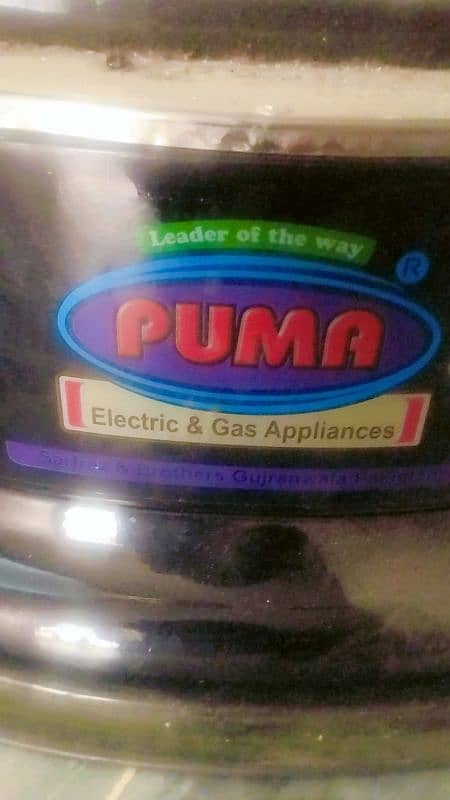 puma gas heater 1