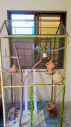 Big Cage for all birds