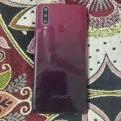 vivo