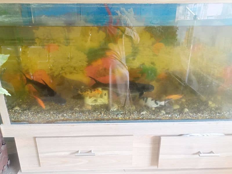 fishing aquarium 0