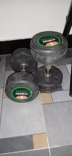 gym dumbbells