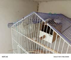 5 finches with cage