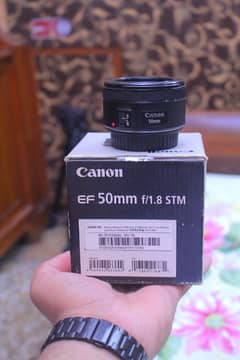 Canon 50mm stm F/1.8