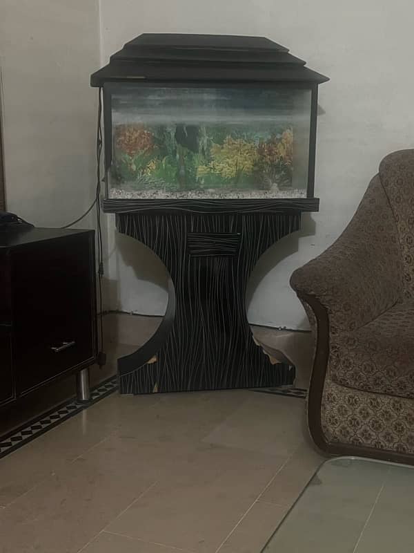 fish aquarium 1