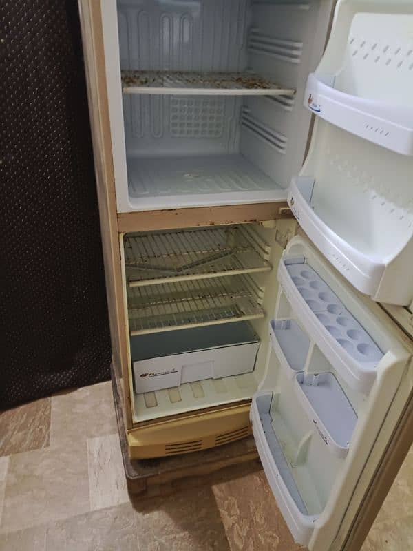 Pel Fridge/referigerator/medium fridge/slightly used 1