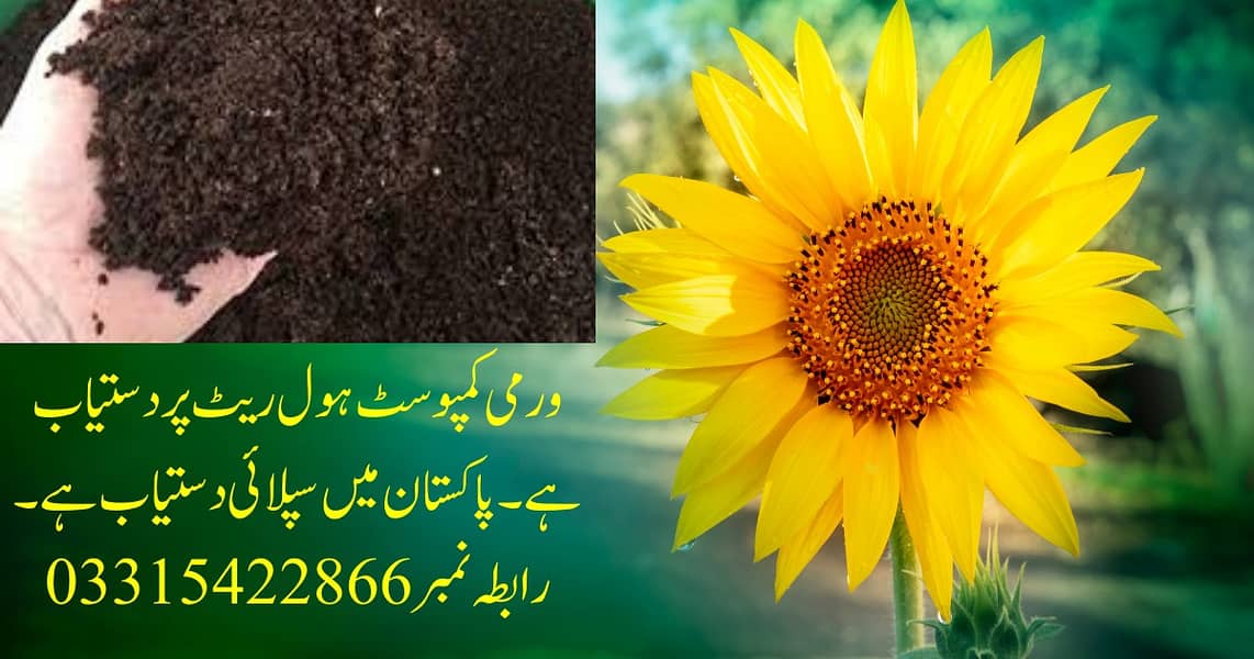 Vermicompost 1